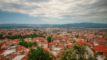 Softinays – Web Tasarım ve Yazılım Hizmetleri